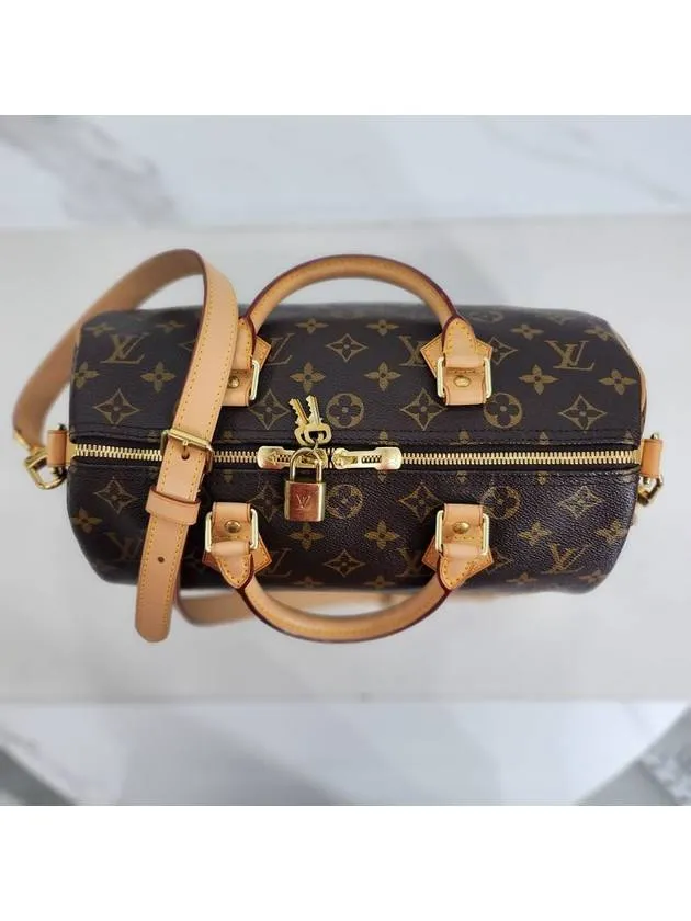 Bandoulier Speedy 30 Tote Bag M40391