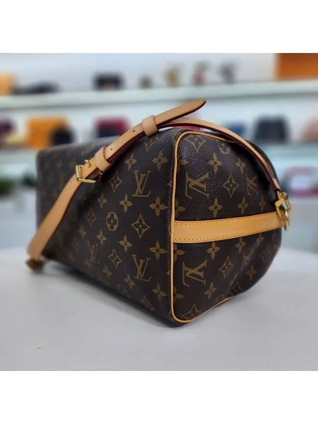 Bandoulier Speedy 30 Tote Bag M40391