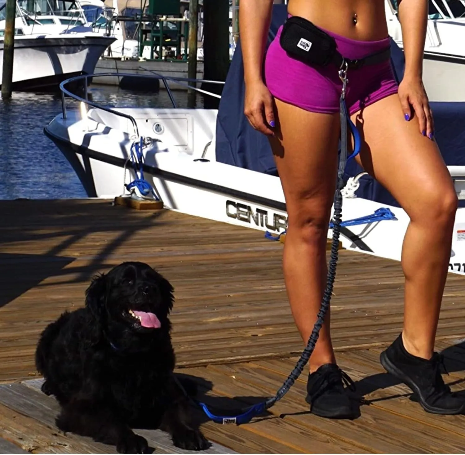 Black Rhino - Premium Hands Free Dog Leash for Running Walking Jogging & Hiking - Adjustable Length Dual Handle Bungee Leash Medium  Large Dogs Neoprene Padded Handles - Running Pouch Included Aqua