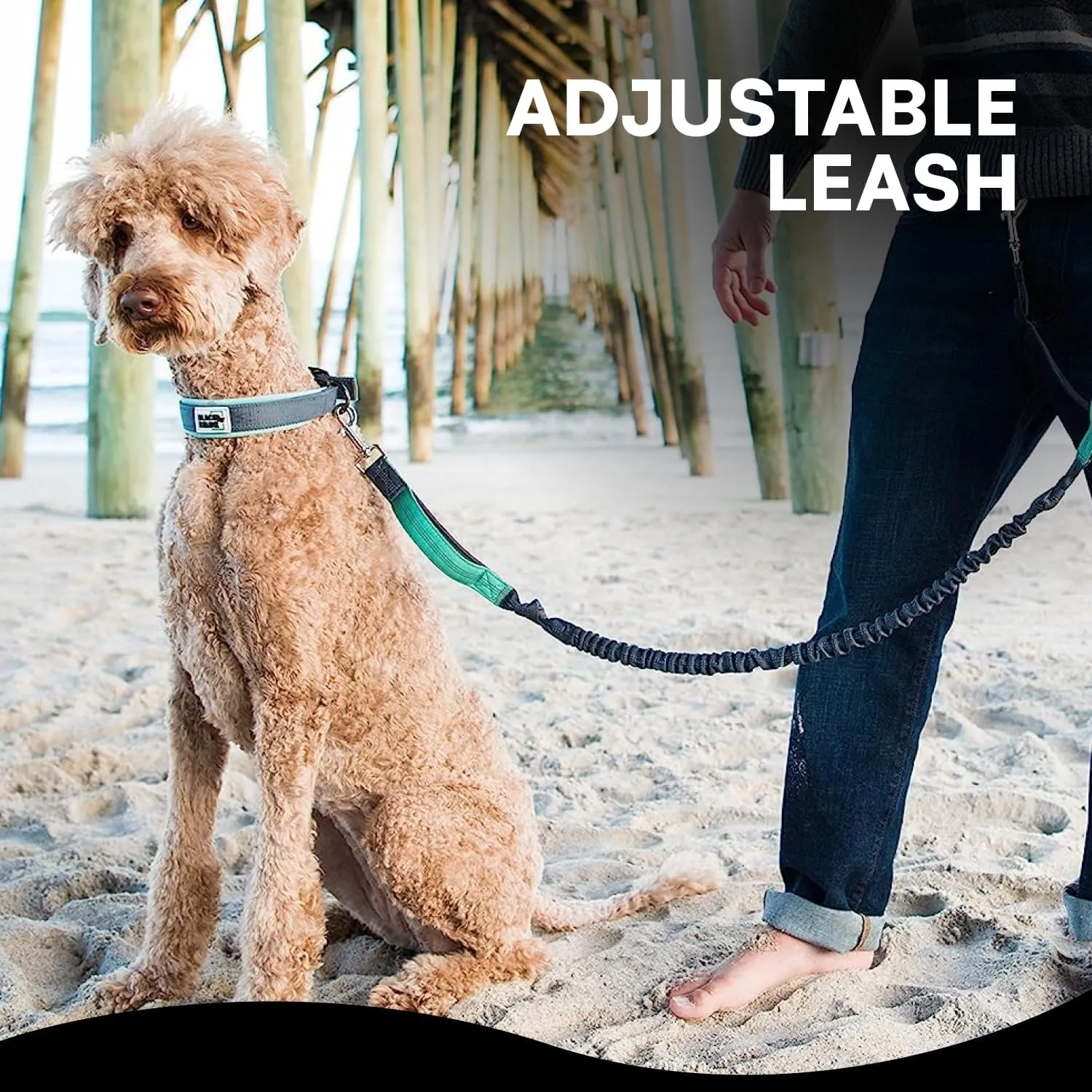 Black Rhino - Premium Hands Free Dog Leash for Running Walking Jogging & Hiking - Adjustable Length Dual Handle Bungee Leash Medium  Large Dogs Neoprene Padded Handles - Running Pouch Included Aqua