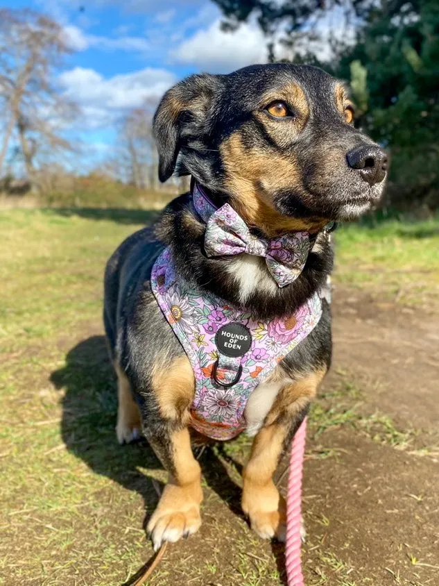 Wild Blossom - Design Poop Bag Holder